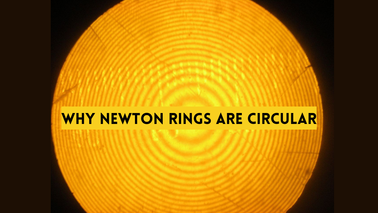 Why Newton's Rings are Circular
